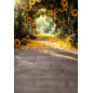 Hintergründe frühlingshaft Frühling Blumen 4215