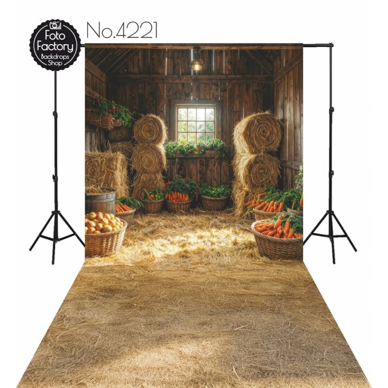 Backdrop spring theme barn 4221