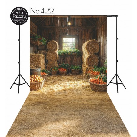 Backdrop spring theme barn - Fotofactory24.pl