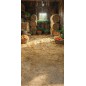 Backdrop spring theme barn 4221