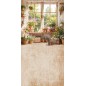 Backdrop spring theme flowers window 4228
