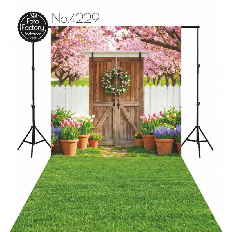 Hintergründe frühlingshaft Frühling Blumen rustikale Tür 4229