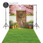 Hintergründe frühlingshaft Frühling Blumen rustikale Tür 4229