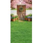 Hintergründe frühlingshaft Frühling Blumen rustikale Tür 4229