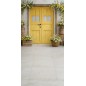 Backdrop spring theme flowers rustic door 4241