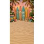 Backdrop summer beach surfing 4247