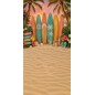 Backdrop summer beach surfing 4247