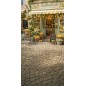 Backdrop summer shop 4248