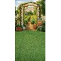 Backdrop summer strawberries 4250 Backdrop summer strawberries 4250