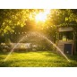 Backdrop summer orchard grass 4251 Backdrop summer orchard grass 4251