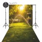 Tło Fotograficzne lato sad trawa 4251