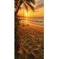 Hintergründe Sommer Strand Sonnenuntergang 4252 Hintergründe Sommer Strand Sonnenuntergang 4252