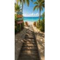 Hintergründe Sommer Strand Palmen 4253 Hintergründe Sommer Strand Palmen 4253