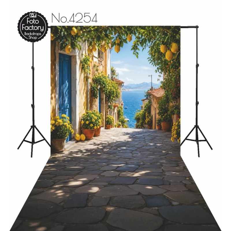 Tło Fotograficzne lato uliczka kwiaty 4254