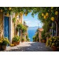 Backdrop summer alley flowers 4254