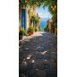 Hintergründe Sommer Gasse Blumen 4254 Hintergründe Sommer Gasse Blumen 4254