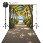 Hintergründe Sommer Strand Palmen 4255 Hintergründe Sommer Strand Palmen 4255