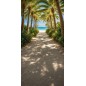 Tło Fotograficzne lato plaża palmy 4255 Tło Fotograficzne lato plaża palmy 4255