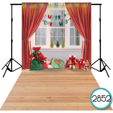 Backdrop 2852