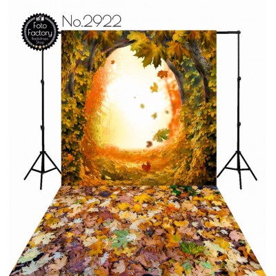 Backdrop 2922