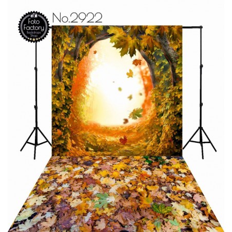 Backdrop 2922