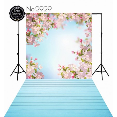 Backdrop 2929