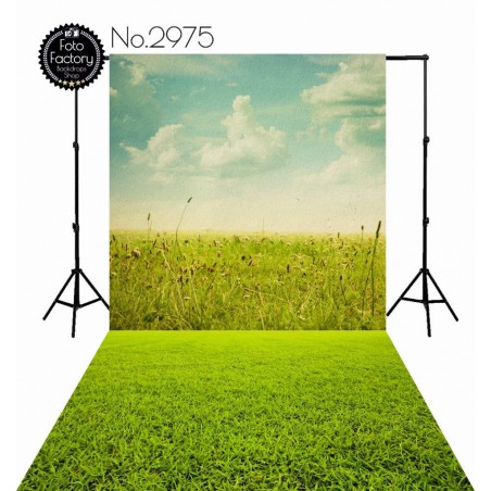 Backdrop 2975