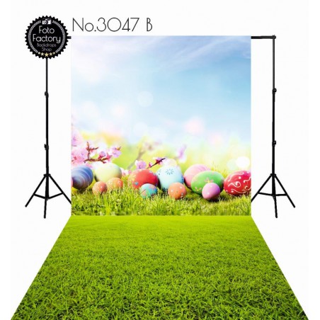 Backdrop 3047