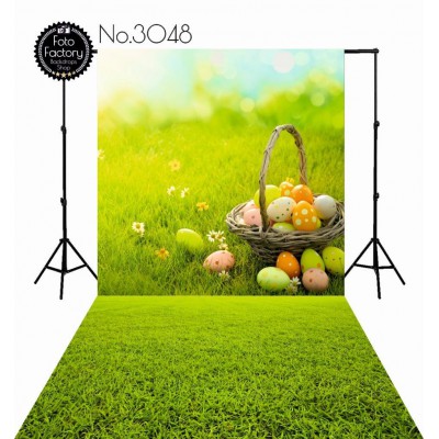 Backdrop 3048